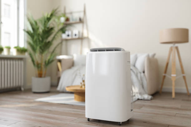 Best VRF (Variable Refrigerant Flow) Systems in Paloma Creek South, TX